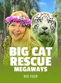 Review Game Big Cat Rescue Megaways