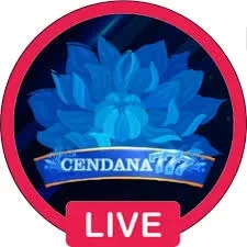 Info Aplikasi cendana777 Terbaru dan Cara Download